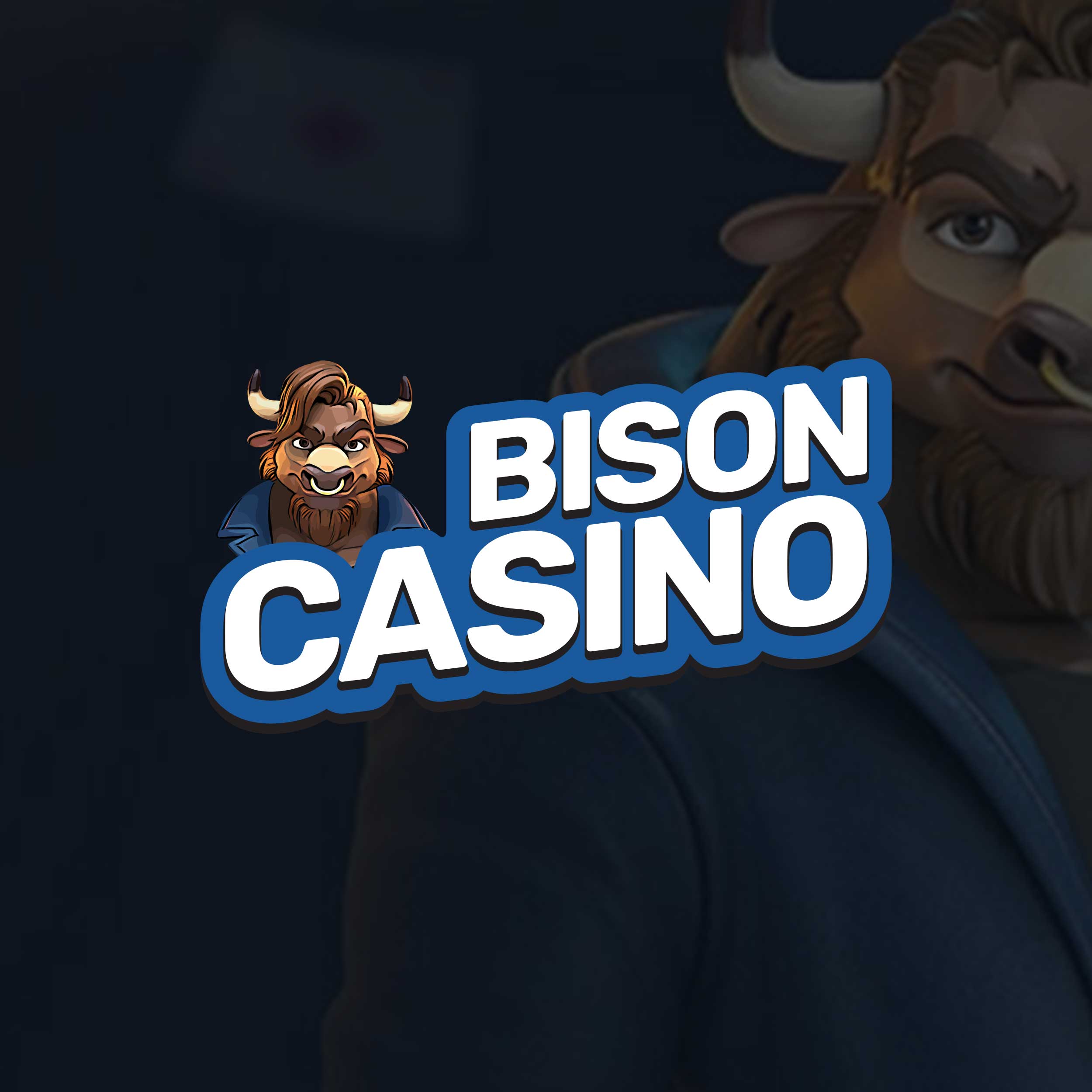 Bison Casino | Polskie Online Casino | 2025